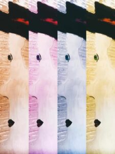 Interior design, renovation, Wall art by Iwona Luka Casa de koras renovation project