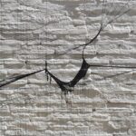 Black necklace in the frame by Iwona Luka